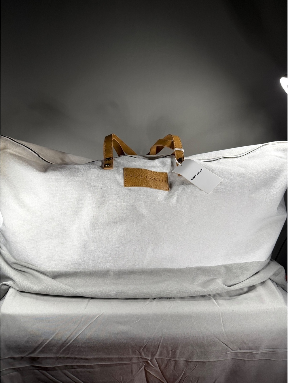 Cozy Earth King Size Silk Pillow Carrying Bag - White